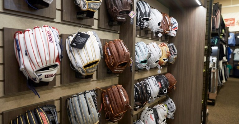 Baseball and softball glove collection 