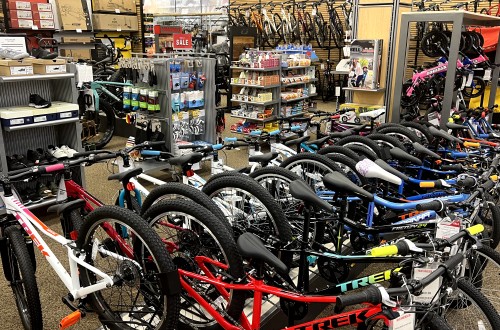 Scheels store mountain bikes