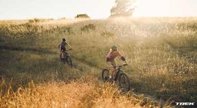 scheels mountain bikes