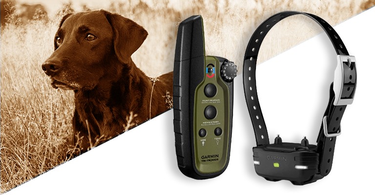 Best hunting best sale dog e collar