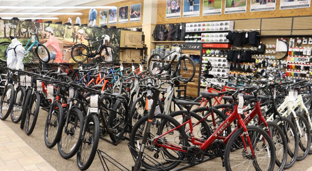 Scheels bikes clearance