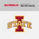 Under Armour Kids' Iowa State Cyclones All Day T-Shirt