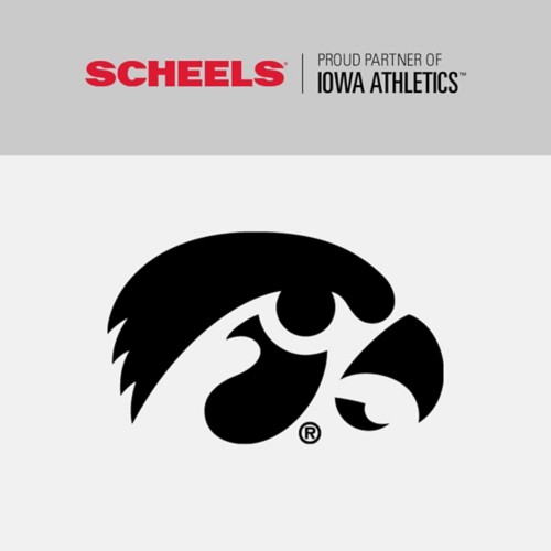 Nike Iowa Hawkeyes Onfield Baseball Fitted Hat