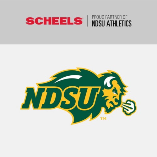 Nike North Dakota State Bison Logo T-Shirt