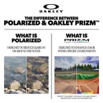 Oakley Cables Sunglasses - Thumbnail 6 of 7