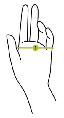 PEARL iZUMi Hand Sizing Image