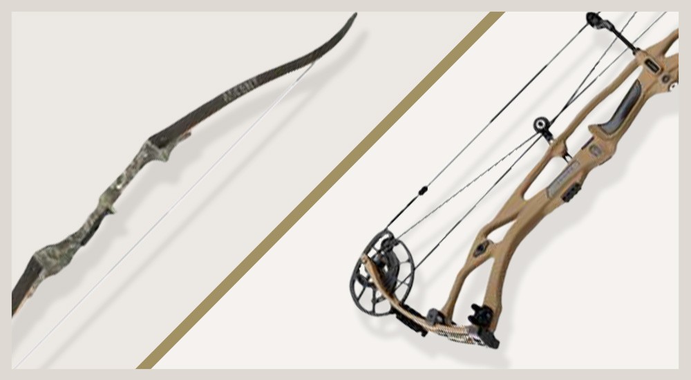 Compound bow and recurve bow 