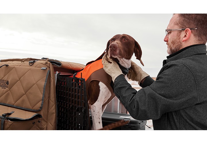 Dog sitting in kennel in back of pickup truck. 