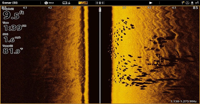 Image of a side scanning sonar