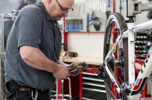 Scheels bike 2025 tune up