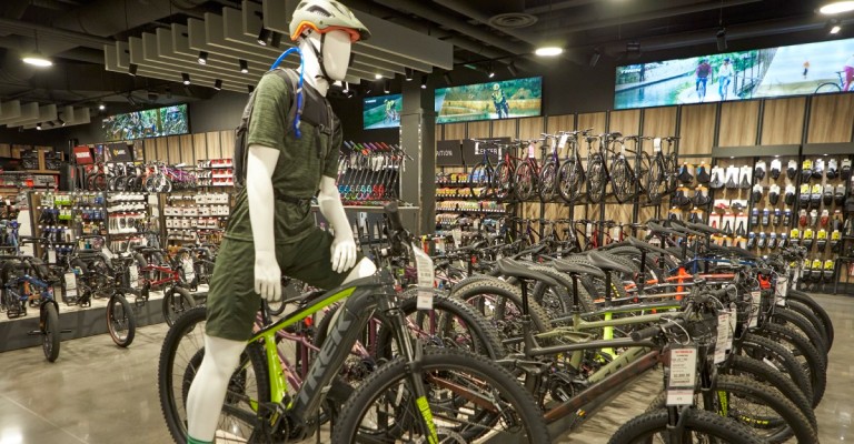 Scheels bikes store