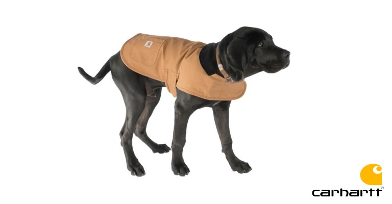 carhartt dog jacket