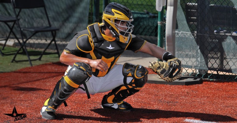 a catcher wearing leg guards behind the plate