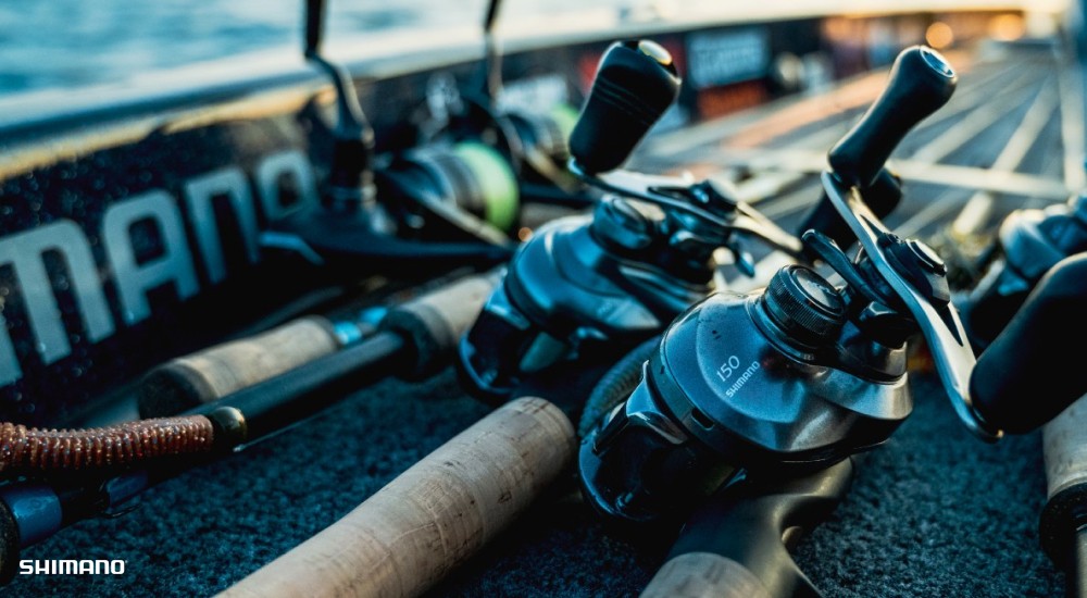 Choosing a Baitcast Reel: The Complete Guide