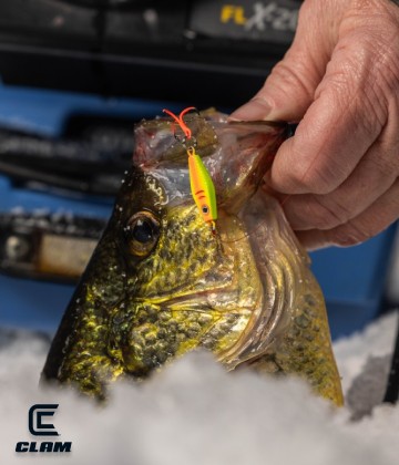 Catch More Walleyes this Winter with VMC® Bladed Hybrid Trebles on Your Ice  Baits, ICE FORCE