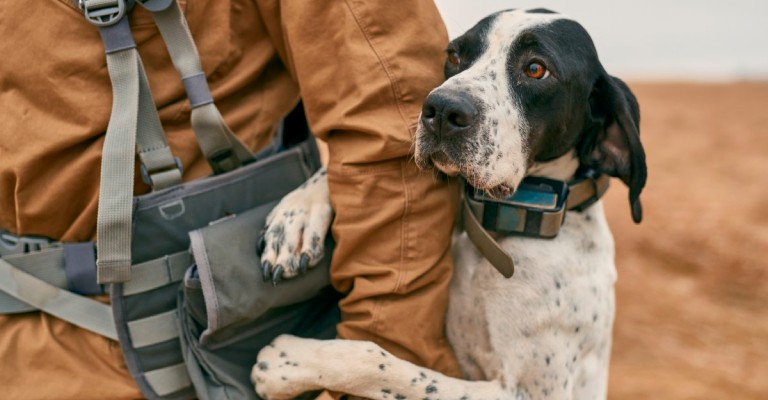 a dog and his owner out in the field