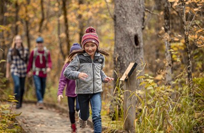 scheels camping gear