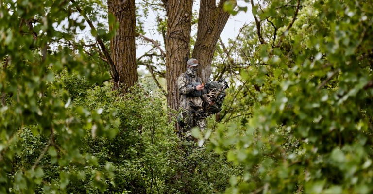 man hunting in a tree with a bow and arrow