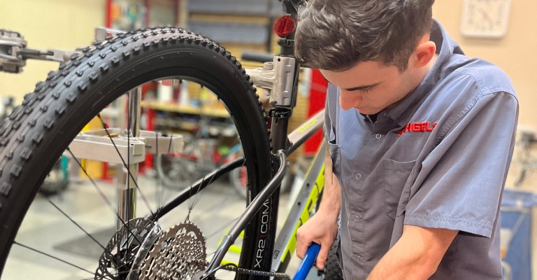 SCHEELS bike shop technician