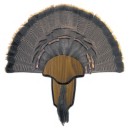 Hunters Specialties Turkey Tail/Beard Mount Kit
