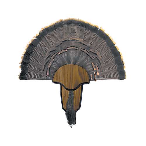 WESTERN CEDAR Turkey Fan Plaque MOUNTING KIT Model: Thunder Bird Turkey Mount 