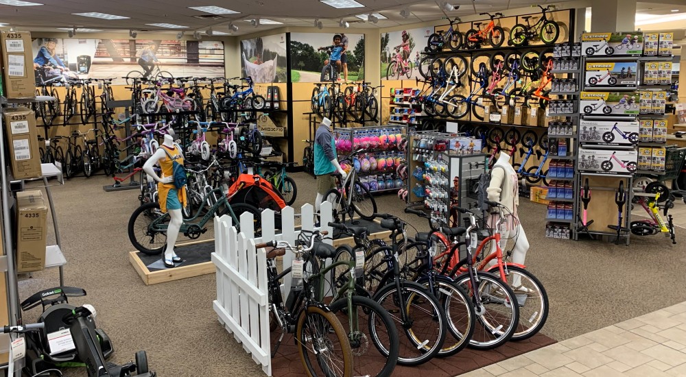 Scheels bicycles cheap