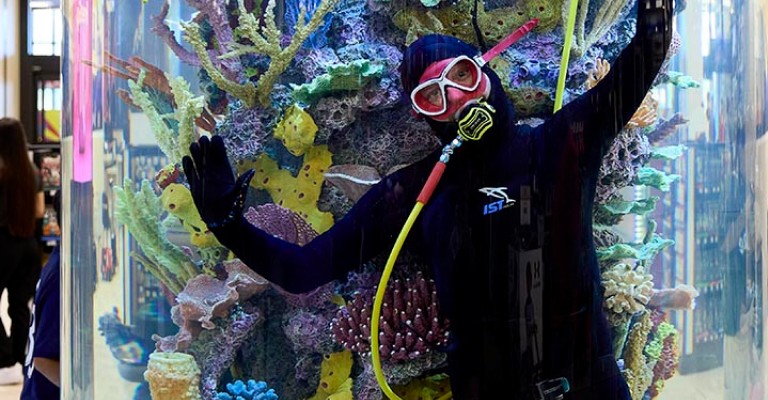 a scuba diver in the aquarium at chandler scheels