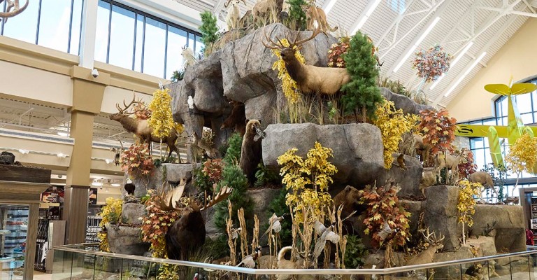 the wildlife mountain at chandler scheels