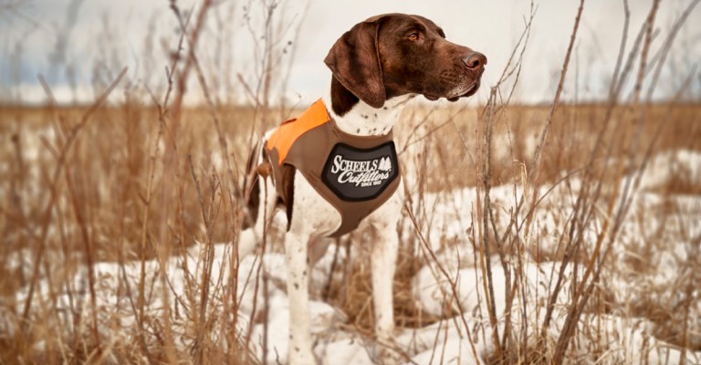 a dog wearing a scheels outfitters hunting vest