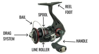 Choosing A Spinning Reel | SCHEELS.com