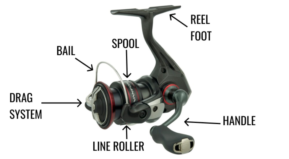 Page 3: Parts of The Spinning fishing Reel - Buyer's Guide for