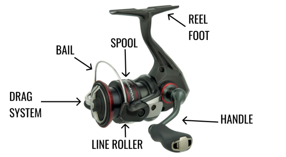 Spinning Reel 101 - What Are The Visible Parts Of A Spinning Reel