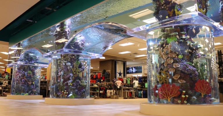 the aquarium at the colony texas scheels