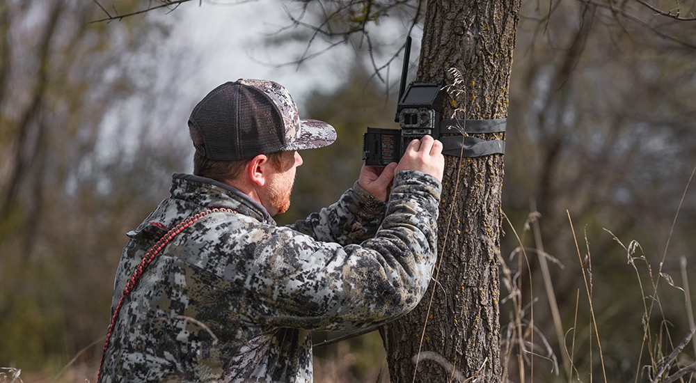 Setting up a trail camera