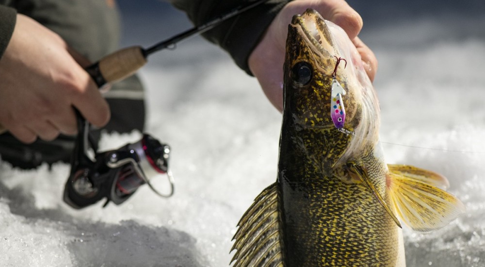 Best Walleye Ice Fishing Lures